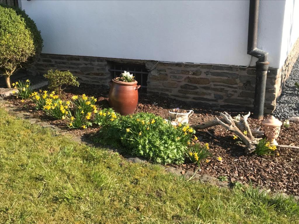Ferienwohnung Sonnen - Terrasse Bernkastel-Kues Bagian luar foto