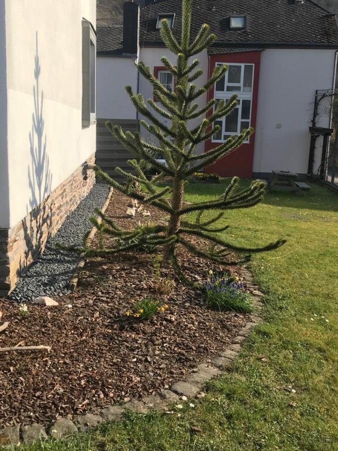 Ferienwohnung Sonnen - Terrasse Bernkastel-Kues Bagian luar foto